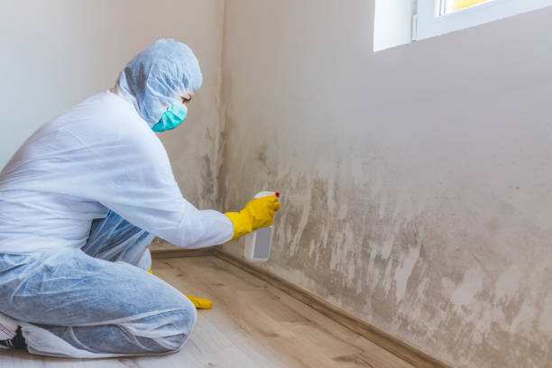 Licensed Mold Testing service in Springfield, TN - WQB Mold Removal