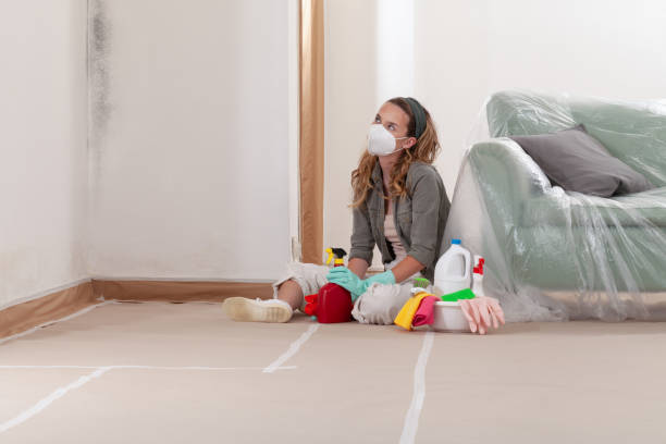 Reliable Mold Testing contractor in Springfield, TN by WQB Mold Removal